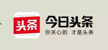 今日头条合作,共绘新媒体生态新蓝图